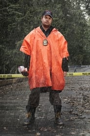 Backstrom poster