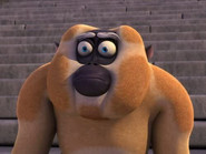 Monkey in the Middle