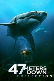 Full Cast of 47 Meters Down Collection