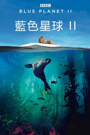 蓝色星球 第 2 季