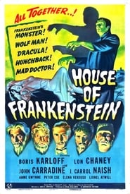 Будинок Франкенштейна постер