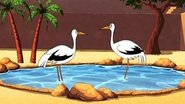 The Caliph Stork