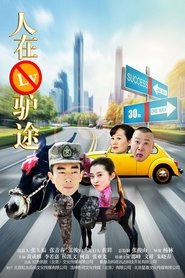 Poster Following the Donkey 2016