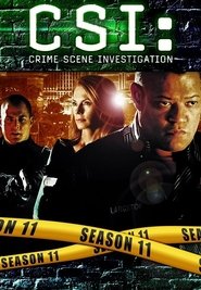 CSI: Crime Scene Investigation - Season 14 Season 11