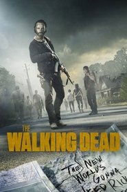 The Walking Dead The Walking Dead