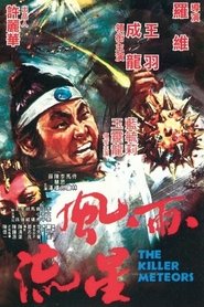 風雨雙流星 1976 ポスター