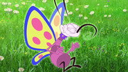 Butterfly Race