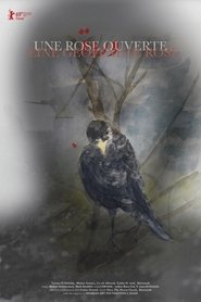 Poster An Open Rose 2019