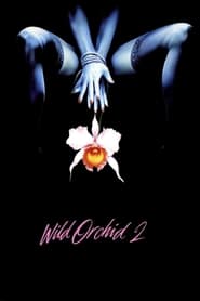 Poster Wilde Orchidee 2