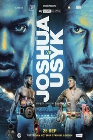 Joshua vs Usyk (2021)