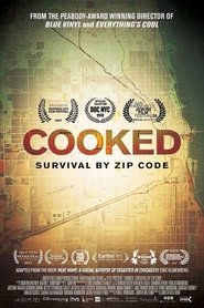 Cooked: Survival by Zip Code 2019