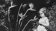 The Charm & Chaos of SoCal's Botanical Landscape