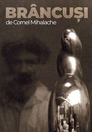 Poster Br&acirc;ncuși 1996