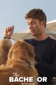 Poster The Bachelor with Dogs and Scott Eastwood