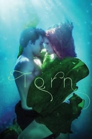 Torn (2022) Torn (2022)