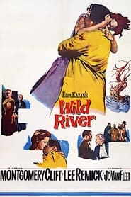 Wild River (1960)