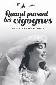 Quand passent les cigognes