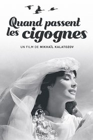 Voir Quand passent les cigognes en streaming vf gratuit sur streamizseries.net site special Films streaming