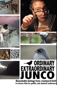 Ordinary Extraordinary Junco 2012 Бесплатан неограничен приступ