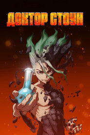 Доктор Стоун (2019)