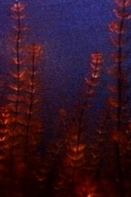 Poster Pond and Waterfall 1982