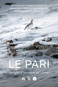 Le Pari Le Pari