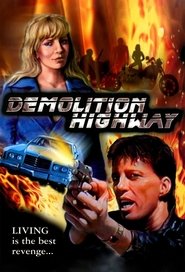 Poster Demolition Highway 1996