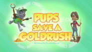 Pups Save a Goldrush