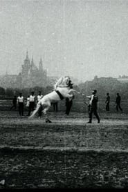 Vaulting of the Prague Sokol Equestrian Section