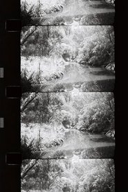 Poster for The Silver Curtain