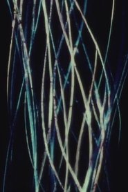 Poster Jalousie 1967