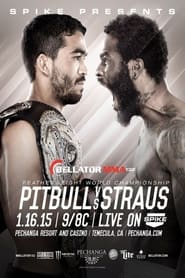 Poster Bellator 132: Pitbull vs. Straus 2