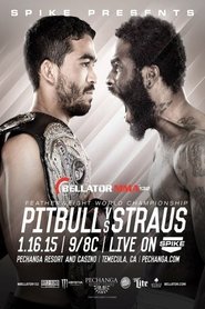 Poster Bellator 132: Pitbull vs. Straus 2 2015