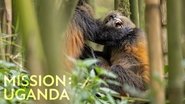 Mission: Uganda 2022 Бесплатан неограничен приступ