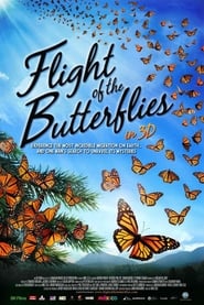 Flight of the Butterflies постер