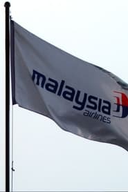 The Disappearance of Flight MH370