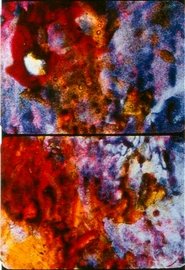 Poster Ascension 2002