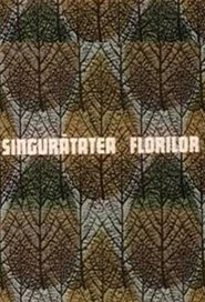 Poster Singurătatea florilor 1976