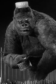 Mr. Joseph Young 468x702