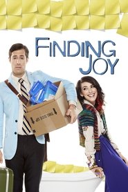 Poster Finding Joy 2013