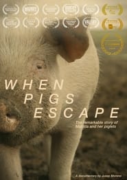 When Pigs Escape