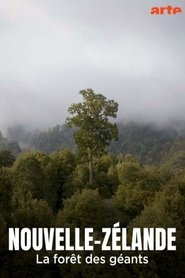 Nouvelle-Zélande : La forêt des géants