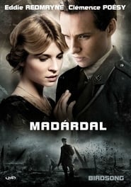 Birdsong poster