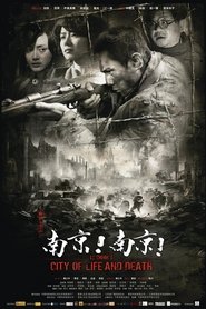 南京!南京! (2009)