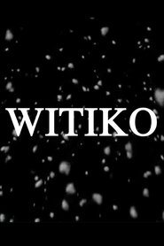 Poster Witiko 2017