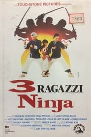 3 ragazzi ninja