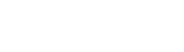 American Mustang Logo
