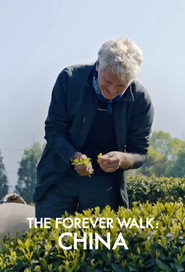 The Forever Walk: China постер