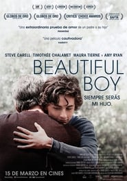 Beautiful boy, siempre serás mi hijo (MKV) (Dual) Torrent