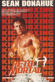 Poster Kickbox Terminator - Der Vollstrecker